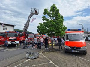 493012703 1171578051679561 5597103706238781697 n