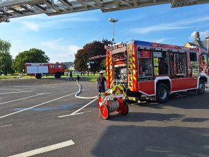 517728315 1230970762406956 7972725788923140735 n