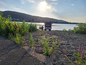 518057670 1230970572406975 1368830401558340501 n