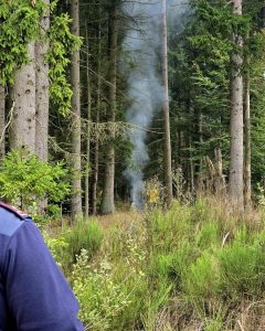 559093805 1317788547058510 8389250798147553975 n