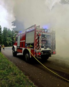 561101321 1317788577058507 5449998929610940358 n