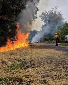 561143312 1317788583725173 3593812028780754212 n